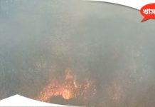 bankura forest fire